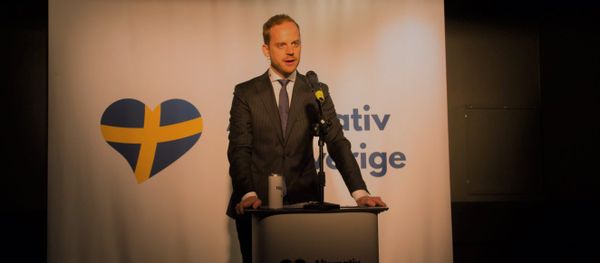 Gustav Kasselstrand, Alternative for Sweden party leader - Sputnik International