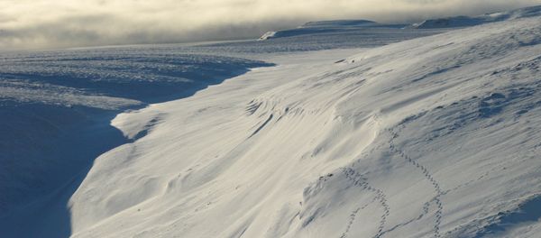 In this September 25, 2015 photo, animal tracks are seen in this aerial view of the Arctic landscape on Griffith Island is seen in the Canadian High Arctic In this September 25, 2015 photo, animal tracks are seen in this aerial view of the Arctic landscape on Griffith Island is seen in the Canadian High Arctic - Sputnik International