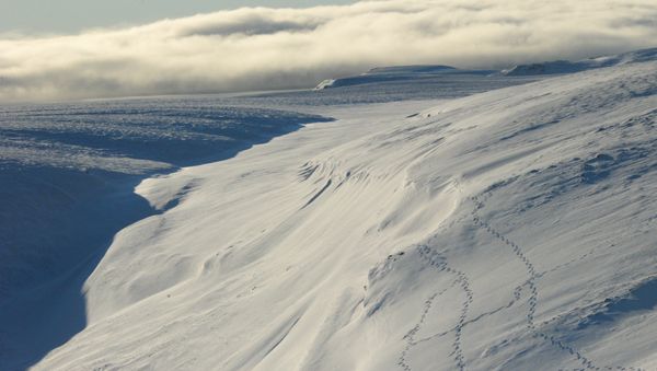 In this September 25, 2015 photo, animal tracks are seen in this aerial view of the Arctic landscape on Griffith Island is seen in the Canadian High Arctic - Sputnik International
