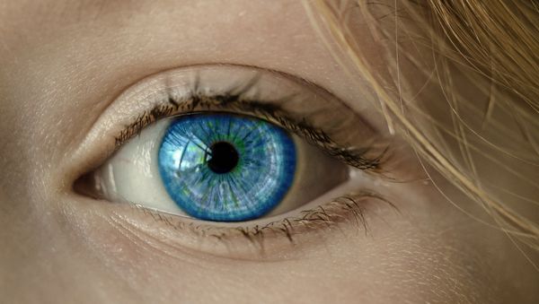 Eye - Sputnik International