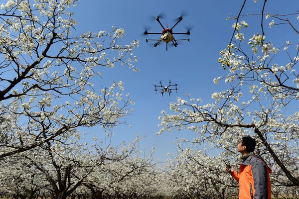 This Week in Pictures: April 7-13 - Sputnik International