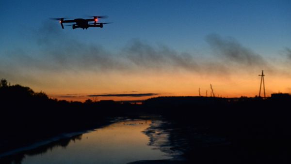 A quadcopter A quadcopter - Sputnik International