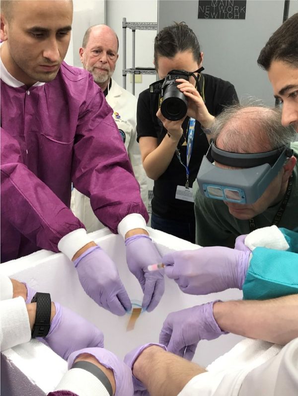 Sperm samples for the Micro-11 experiment arrived at NASA's Kennedy Space Center, in Florida, where the researchers prepared them for launch to the International Space Station - Sputnik International