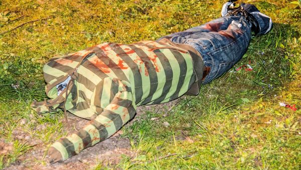 Headless doll sits on meadow near Weinstadt, southern Germany - Sputnik International