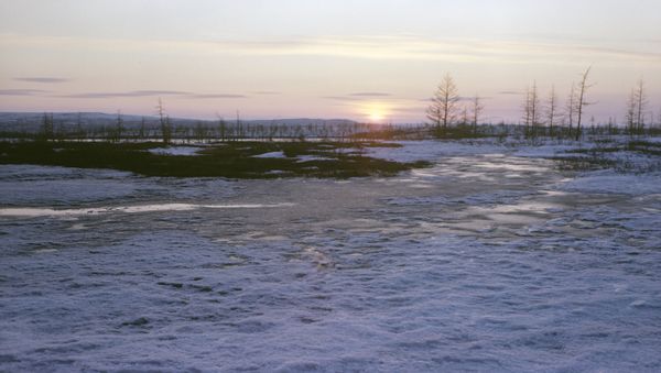 Tundra. Taymyr Peninsula. File photo - Sputnik International