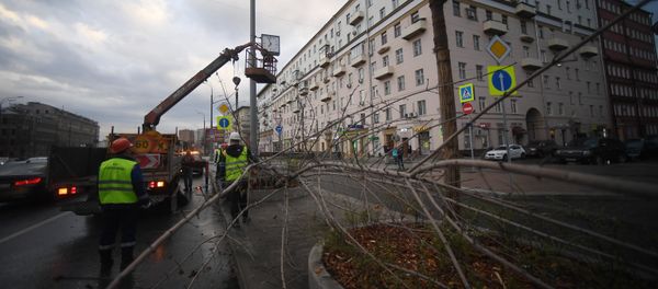 Consequences of the storm that hit Moscow on Friday, April 21. - Sputnik International