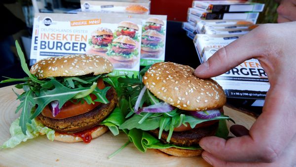 Two burgers made of buffalo worms (Alphitobius Diaperinus) by a German food start-up Bug Foundation are placed during its premiere in a supermarket in Aachen, Germany, April 20, 2018 - Sputnik International