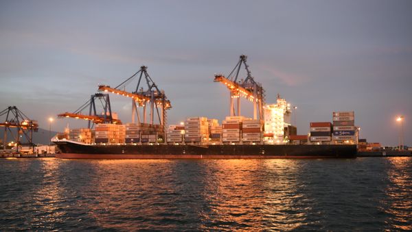 A container ship at the Vizag Terminal, operated by Essar Ports, India’s second largest private port operator, in Vishakhapatnam (File) A container ship at the Vizag Terminal, operated by Essar Ports, India’s second largest private port operator, in Vishakhapatnam (File) - Sputnik International