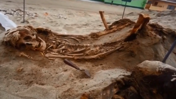 Remains found by researchers at Chimú burial grounds - Sputnik International