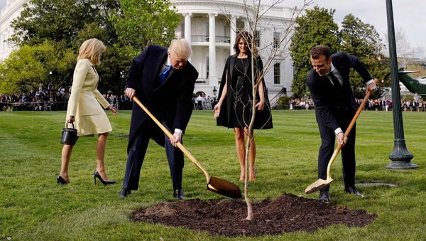 U.S. President Donald Trump and French President Emmanuel Macron shovel dirt onto a freshly planted oak tree as first lady Melania Trump and Brigitte Macron watch on the South Lawn of the White House in Washington, U.S., April 23, 2018 - Sputnik International