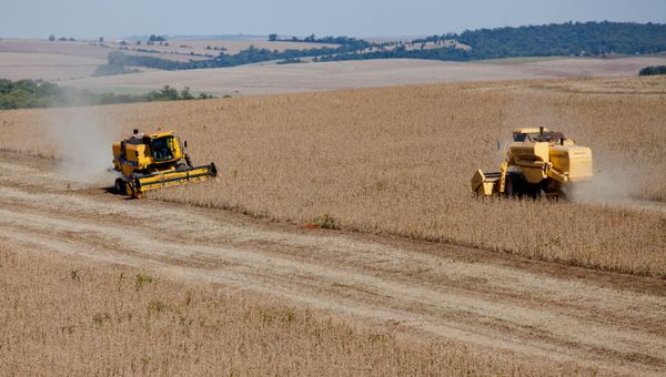 Soya bean harvest in Brazil. - Sputnik International