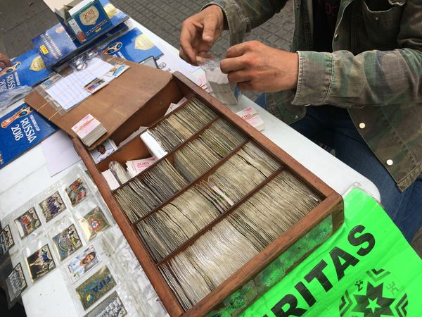 Russia World Cup 2018 Stickers Vendor Russia World Cup 2018 Stickers Vendor - Sputnik International