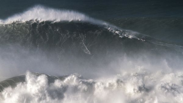 In this photo taken Nov. 8 2017, Brazilian surfer Rodrigo Koxa rides what has been judged the biggest wave ever surfed, at the Praia do Norte, or North beach, in Nazare, Portugal. On Saturday, April 28 2018, the World Surf League credited Koxa with a world record for riding the biggest wave ever surfed and said that its judging panel determined the wave was 80 feet (24.38 meters) - Sputnik International