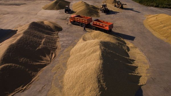 Threshing floor at Stepnoye factory in Borodavkino village, Iskitimsky District of the Novosibirsk Region Threshing floor at Stepnoye factory in Borodavkino village, Iskitimsky District of the Novosibirsk Region - Sputnik International
