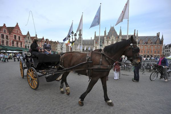A horse-drawn carriage seen on a picturesque street in Bruges, Belgium. - Sputnik International