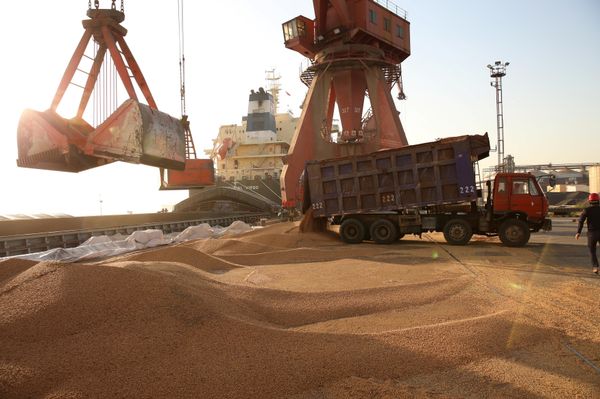 Workers transport imported soybeans at a port in Nantong, Jiangsu province, China April 9, 2018 - Sputnik International