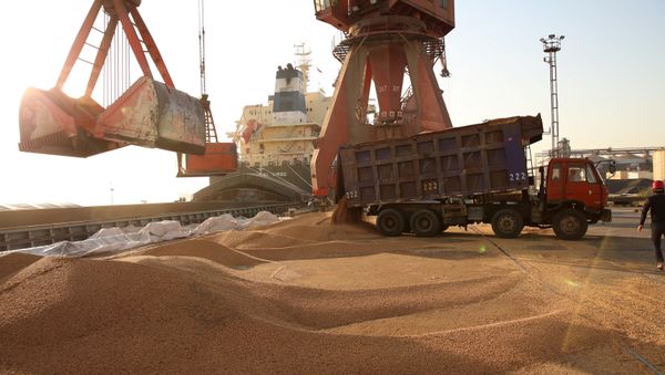 Workers transport imported soybeans at a port in Nantong, Jiangsu province, China April 9, 2018 Workers transport imported soybeans at a port in Nantong, Jiangsu province, China April 9, 2018 - Sputnik International