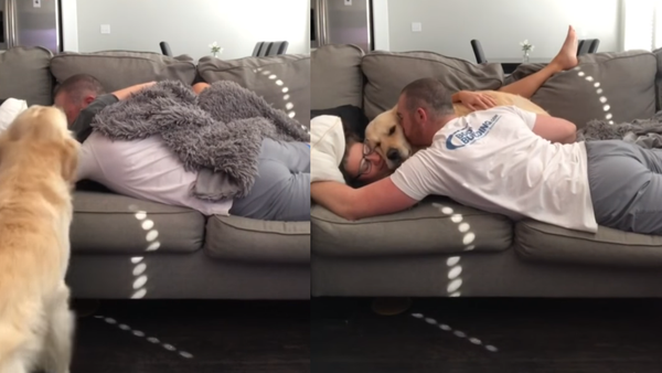 Jealous Golden Retriever Squeezes Into Snuggle Session - Sputnik International
