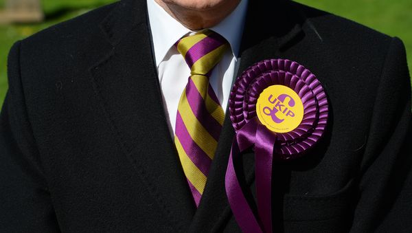 (File) A voter wears a UK Independence Party (UKIP) rosette as he stands outside a polling station in Brighton, southern England on May 7, 2015 - Sputnik International
