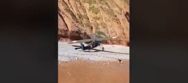 What is he doing? Beachgoers flee for their lives as they film vintage plane making emergency What is he doing? Beachgoers flee for their lives as they film vintage plane making emergency - Sputnik International