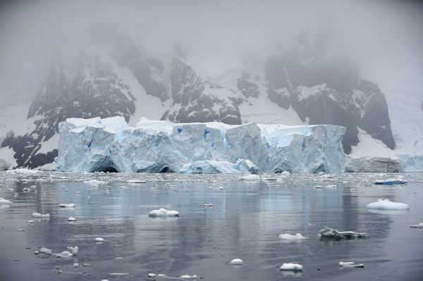 An iceberg floats in Andvord Bay, Antarctica, February 14, 2018 An iceberg floats in Andvord Bay, Antarctica, February 14, 2018 - Sputnik International