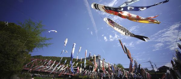 Colorful carp streamers flutter in the air over the Kawakami Gorge in Saga, Saga prefecture, southwestern Japan, Friday, April 13, 2018. The colorful streamers are hung to mark Children's Day on May 5, wishing children's healthy growth like carp that can swim up a waterfall - Sputnik International