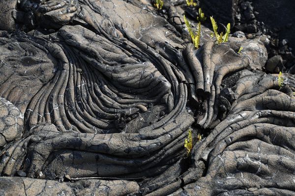 Photo Timeline of Devastating Hawaiian Volcanic Eruption - Sputnik International
