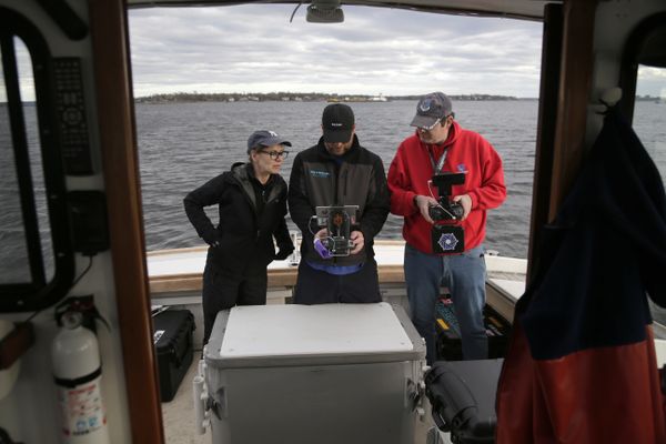 In this April 29, 2018, photo, artist Melinda Hunt, president of The Hart Island Project, left, and drone operator Parker Gyokeres, right, look over the footage recorded by Daniel Herbert from the drone flight over Hart Island in New York - Sputnik International