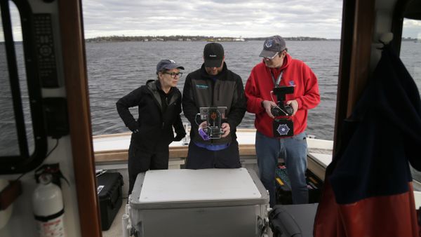 In this April 29, 2018, photo, artist Melinda Hunt, president of The Hart Island Project, left, and drone operator Parker Gyokeres, right, look over the footage recorded by Daniel Herbert from the drone flight over Hart Island in New York - Sputnik International