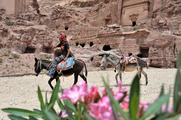 Some Facts You May Have Missed About Jordan's Ancient City of Petra - Sputnik International
