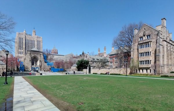‘All About Transparency’: Harvard, Yale Probed for Failing to Disclose $6.5 Bln in Foreign Funding - Sputnik International