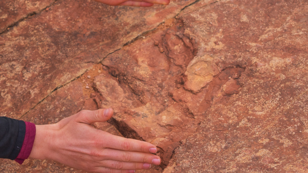 Dinosaur track located at Utah's Red Fleet State Park - Sputnik International
