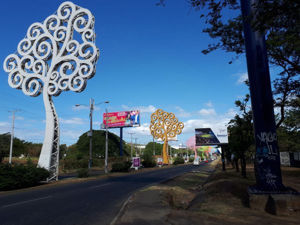 These 'Trees of Life' were erected by Vice President Murillo but were targeted by protesters These 'Trees of Life' were erected by Vice President Murillo but were targeted by protesters - Sputnik International