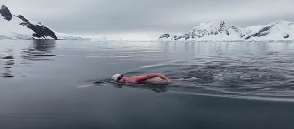 Swimming in Antarctica - Sputnik International