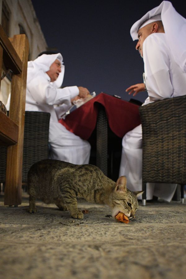 Meeting up at the Souq Waqif market in Doha, Qatar. Meeting up at the Souq Waqif market in Doha, Qatar. - Sputnik International