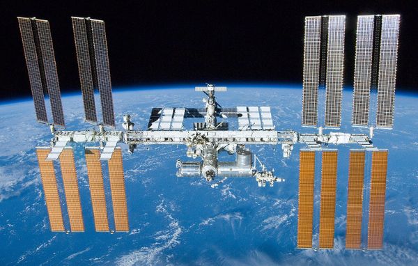 Roscosmos: Skybot FEDOR, Flying to ISS, is Very Sociable, Has Sense of Humour - Sputnik International