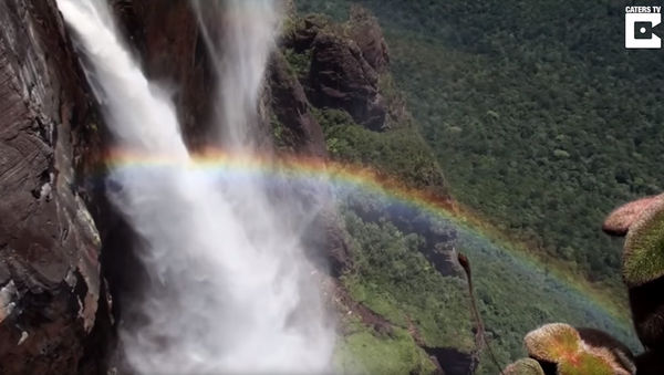 Adrenaline-Seeking Skydiver Leaps from World’s Highest Waterfall - Sputnik International