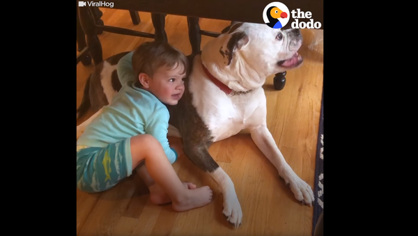 Thunder Buddies: Toddler Consoles Pup Through Storm - Sputnik International