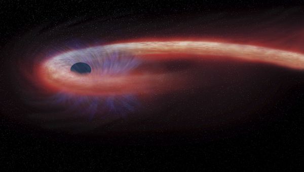 artist rendering provided by NASA shows a star being swallowed by a black hole artist rendering provided by NASA shows a star being swallowed by a black hole - Sputnik International