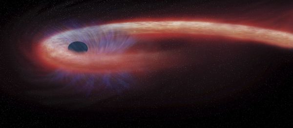 artist rendering provided by NASA shows a star being swallowed by a black hole artist rendering provided by NASA shows a star being swallowed by a black hole - Sputnik International