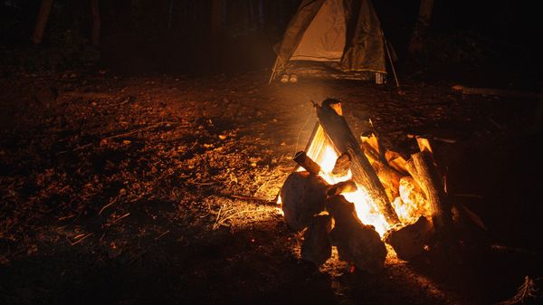 Bonfire in the forest - Sputnik International
