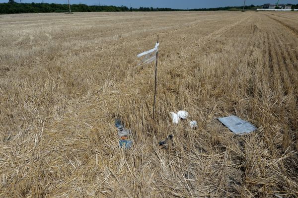 Wreckage at the crash site of the Malaysian Airlines Boeing 777, outside the village of Grabovo, near Shakhtyorsk, Donetsk Region - Sputnik International