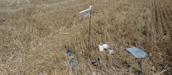 Wreckage at the crash site of the Malaysian Airlines Boeing 777, outside the village of Grabovo, near Shakhtyorsk, Donetsk Region Wreckage at the crash site of the Malaysian Airlines Boeing 777, outside the village of Grabovo, near Shakhtyorsk, Donetsk Region - Sputnik International