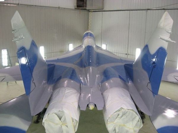 A photograph of one of Ralf Dodt's MiG-29 warplanes (3/3) A photograph of one of Ralf Dodt's MiG-29 warplanes (3/3) - Sputnik International