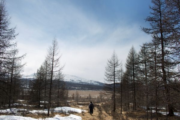 Meet the Inhabitants of Taiga Debris: Reindeer, Herders and Shamans of Mongolia - Sputnik International