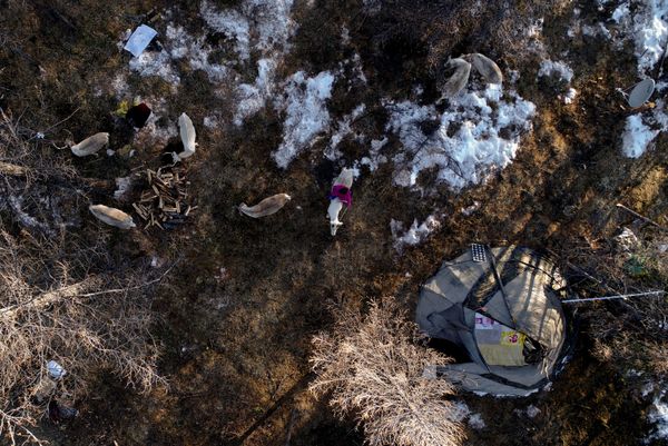 Meet the Inhabitants of Taiga Debris: Reindeer, Herders and Shamans of Mongolia - Sputnik International