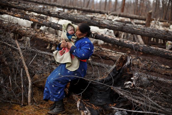 Meet the Inhabitants of Taiga Debris: Reindeer, Herders and Shamans of Mongolia - Sputnik International