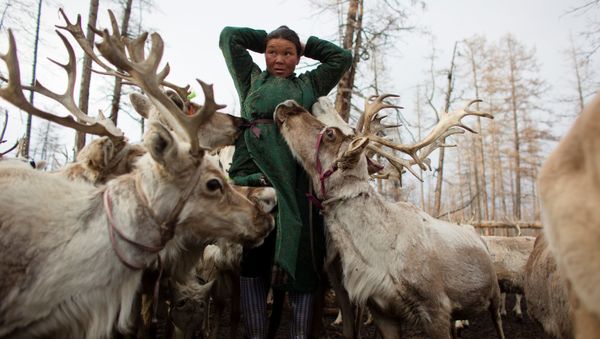 Meet the Inhabitants of Taiga Debris: Reindeer, Herders and Shamans of Mongolia - Sputnik International