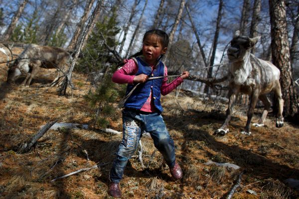 Meet the Inhabitants of Taiga Debris: Reindeer, Herders and Shamans of Mongolia - Sputnik International