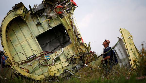 A Malaysian air crash investigator inspects the crash site of Malaysia Airlines Flight MH17, near the village of Hrabove (Grabovo) in Donetsk region, Ukraine, July 22, 2014 A Malaysian air crash investigator inspects the crash site of Malaysia Airlines Flight MH17, near the village of Hrabove (Grabovo) in Donetsk region, Ukraine, July 22, 2014 - Sputnik International